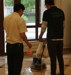 馨净界家政服务 市场欢迎度解析与家政行业展望